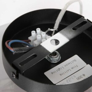 steinhauer-plafonniere-reflexion-transparant-glasmetaal-ø30cm-e27-3388zw-12