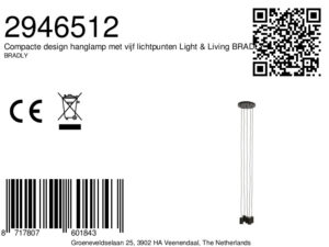 compactedesignhanglampmetvijflichtpuntenlight&livingbradly-1