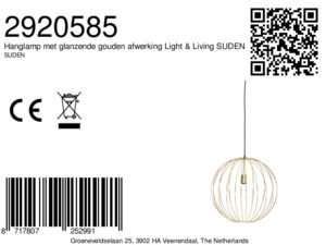 hanglamp-goud-suden-metaal-draadlamp-e27-2920585-light&living-1