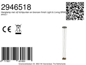 hanglampmetvijflichtpuntenenbronzenfinishlight&livingbradly-8a