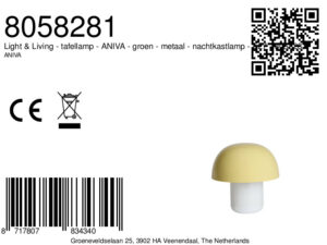 tafellamp-groen-aniva-metaal-nachtkastlamp-e27-8058281-light&living-1