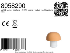 tafellamp-oranje-aniva-metaal-nachtkastlamp-e27-8058290-light&living-1