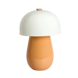 tafellamp-oranje-linor-metaal-e27-8058490-light&living-1
