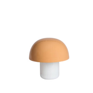 tafellamp-oranje-aniva-metaal-nachtkastlamp-e27-8058290-light&living-1